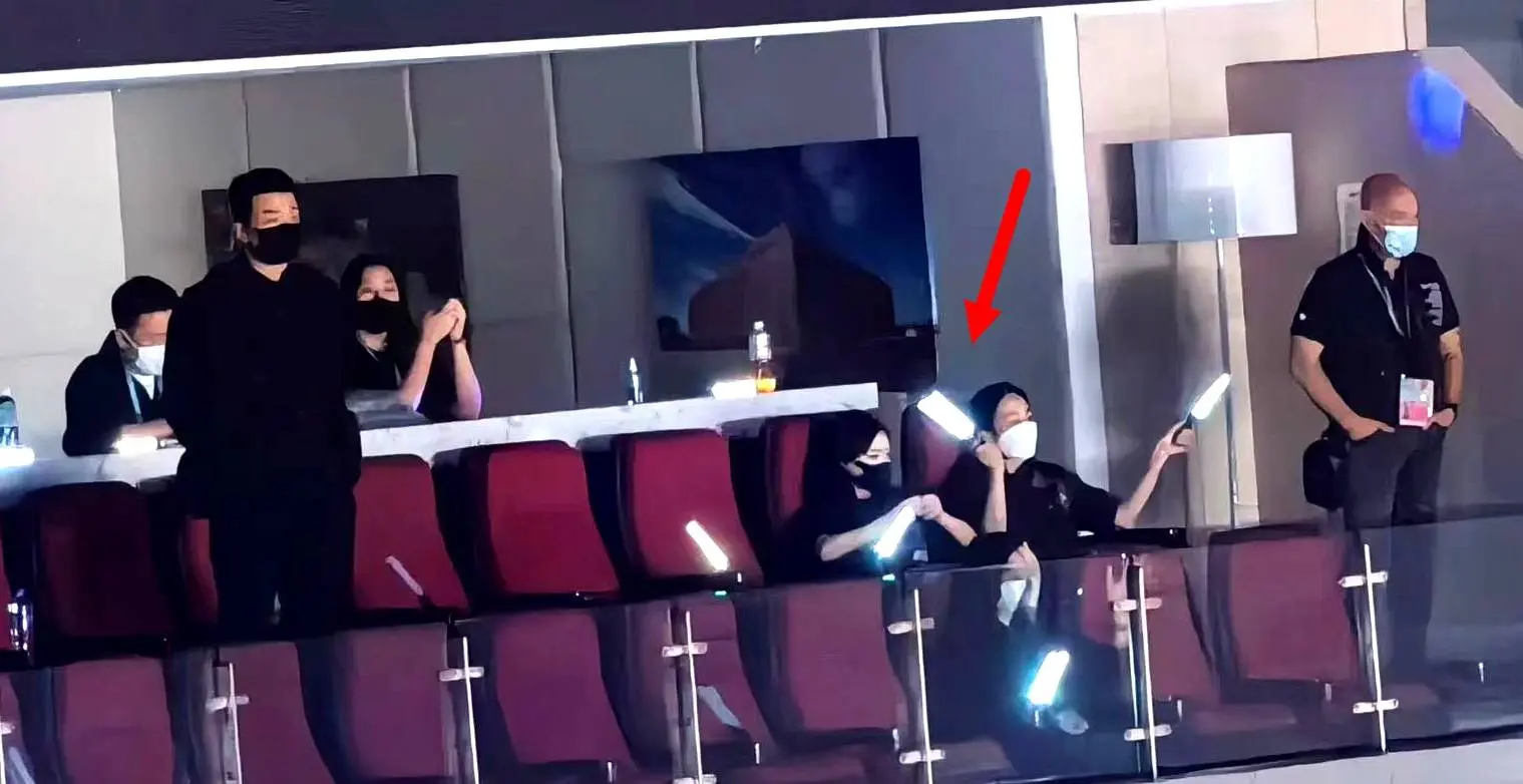 妻女坐包廂看劉德華演唱會(huì),如廁有保鏢陪,劉向蕙高聲向爸爸表白