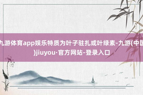 九游體育app娛樂特質為葉子駐扎或葉綠素-九游(中國)jiuyou·官方網站-登錄入口