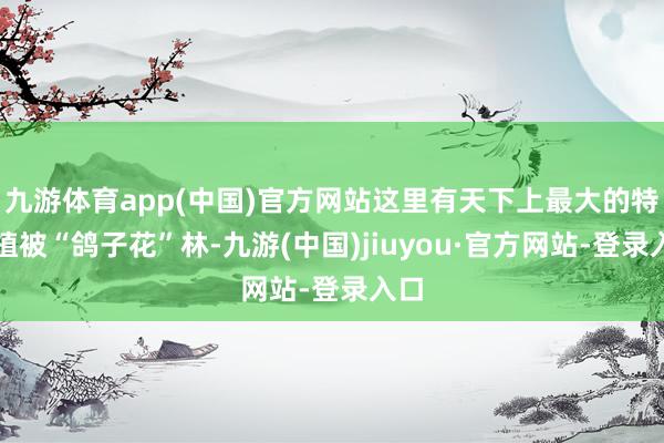 九游體育app(中國)官方網站這里有天下上最大的特殊植被“鴿子花”林-九游(中國)jiuyou·官方網站-登錄入口
